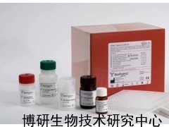 人白細胞共同抗原ELISA試劑盒_供應產(chǎn)品_博研生物技術研究中心
